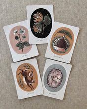 Charger l'image dans la galerie, Imagier "La vie de la forêt"